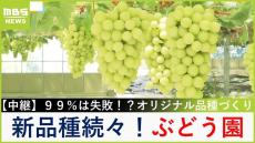 【中継】ひとつのぶどう品種を作るのに９９％は失敗！？オリジナル品種が続々！大正時代から続く老舗ぶどう園を調査　「中村オリジナルぶどう園」【福島暢啓の潜入！今昔探偵】