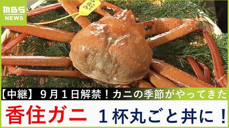 【中継】祝解禁！甘みの強い「香住ガニ」調味料は&quot;不要&quot;...カニ身・味噌を乗せた贅沢丼【川地洋平の最旬！丼マン】