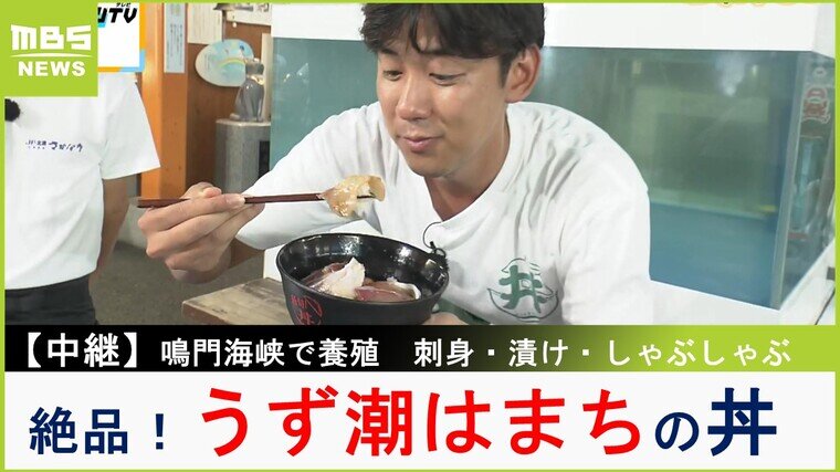 【中継】鳴門海峡の激流で養殖「うず潮はまち」の刺身やしゃぶしゃぶで絶品丼！【川地洋平の最旬！丼マン】