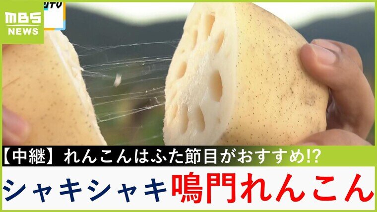 【中継】肉厚シャキシャキ！年末にかけて収穫が最盛期「鳴門れんこん」で丼づくり　先端はみずみずしく根元はもちもち食感【川地洋平の最旬！丼マン】