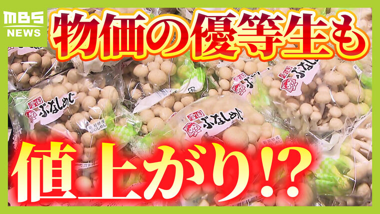 【きのこを深掘り】鍋に入れるタイミングはいつ？「基本的にお安め」うれしい食材だが『生産者に悩ましい一面』も　注目のマツタケ生産国知ってる？