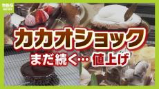 「チョコの価格は今後さらに倍に」カカオショックの原因はウイルス！？４億本以上の木が焼き払われる...菓子業界の打開策は？