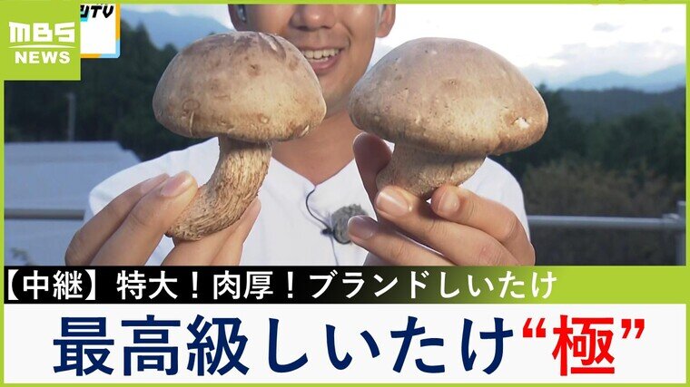 【中継】肉厚！豊潤！アワビのような食感の特大ブランドしいたけ「神山しいたけ」　生えやすくするにはたたく？こだわりの栽培方法とは【川地洋平の最旬！丼マン】