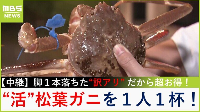 【中継】さっきまで生きていた「活松葉ガニ」がお得に食べられる　刺身・しゃぶしゃぶ・焼きガニ...１人１杯フルコース【大吉洋平のお得ハンター】