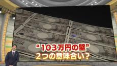 103万円の壁「壁は何万円に引き上げるのが正解か？」条件と指標でまるで違う「壁の正解」を試算！！国民・玉木代表は最低賃金1.73倍を主張　物価上昇率なら1.1倍　でも食料上昇率なら1.36倍