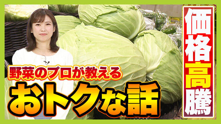 【野菜高騰を乗り切るコツ】今&quot;狙い目&quot;の野菜は？節約になる買い物術は「献立を考えない」！？『成長点』が保存のポイントに