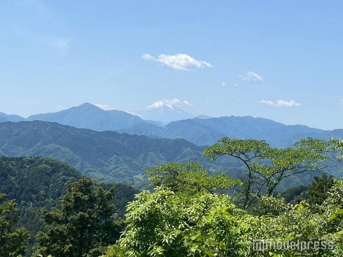 お散歩感覚で高尾山を楽しもう！山登りプラスアルファな過ごし方