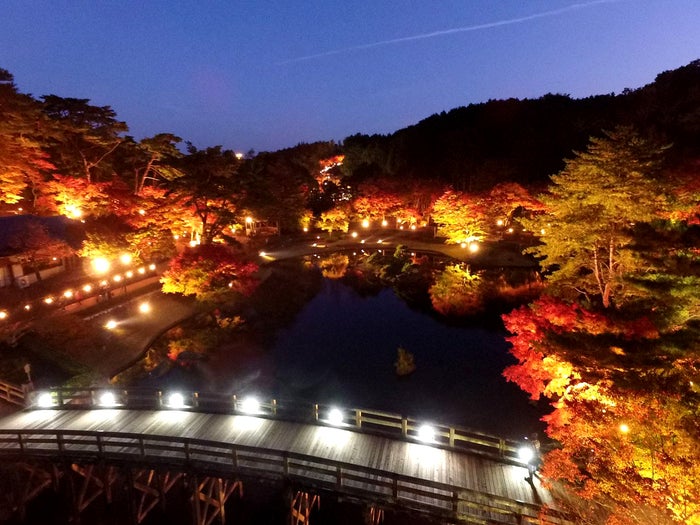 静岡・修善寺虹の郷で「もみじライトアップ」約1,000本の木々が光り輝く イルミイベントも同時開催