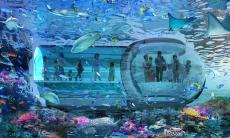 東京ジャイアンツタウン内に新水族館、2027年誕生へ サンゴ礁の海を歩く水中回廊や大水槽