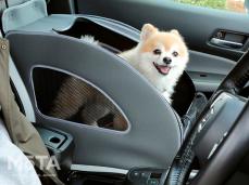 愛犬家必見！ ホンダの愛犬用アクセサリー「ホンダドッグシリーズ」をイベントで展示！ わんこを助手席に乗せて楽しくドライブできるアイテムも！