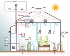 デンソーの技術が農業へ！ハウス内の環境制御システムが未来を創る