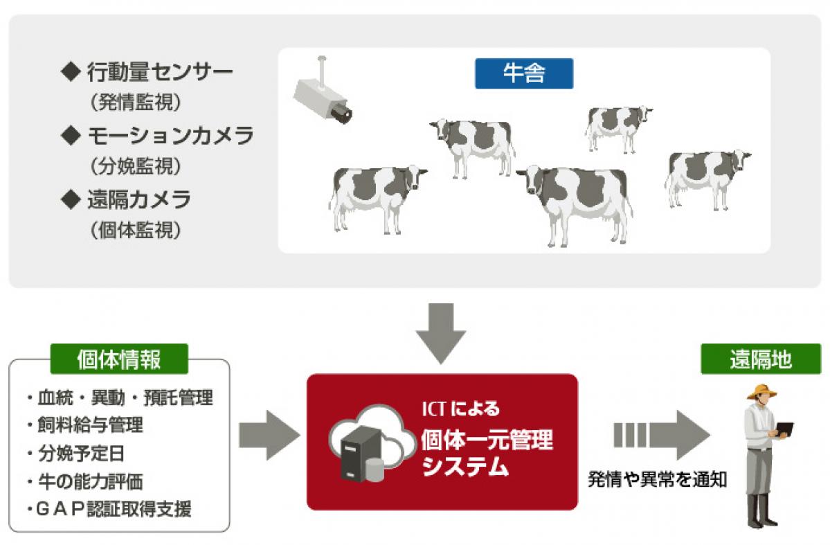 富士通エフサス：福島県と繁殖農家の営農再開を支援する実証実験を開始