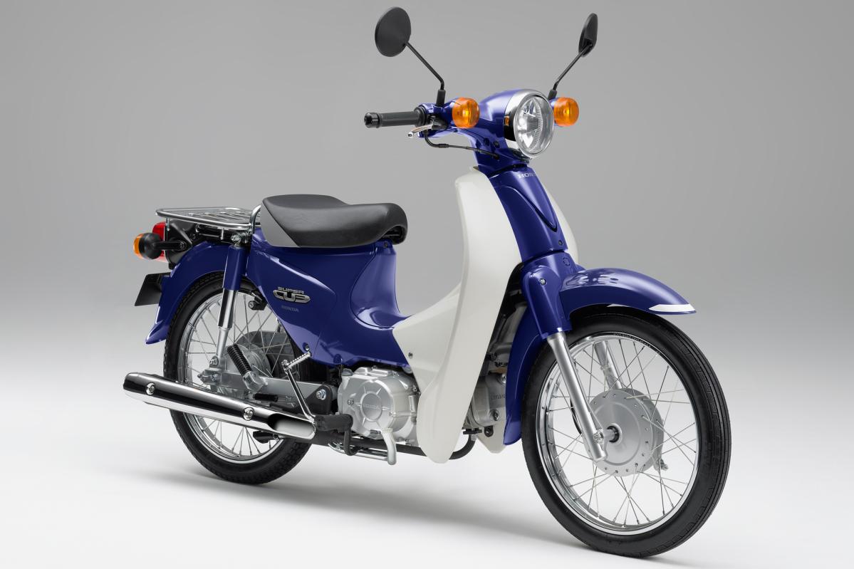 すーぱーかぶかぶ　杉①　大型　くり抜き　高さ約45㎝ スーパーカブ アーカイブス♯8｜Infoseekニュース