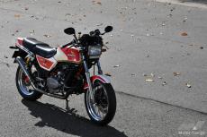 キャブからインジェクション、さらにターボへ CB250RS-Zと歩んだ45年