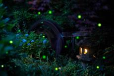 【幻想的な風景】ホテル椿山荘東京「ほたるの夕べ」が70周年-都心の庭園にゆらめく蛍の光に酔いしれ、イブニングハイティーに魅了された