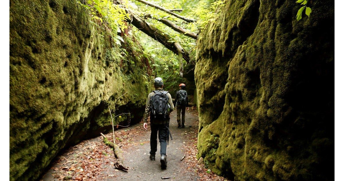 北海道で「苔に覆われた異世界の自然空間」を巡るツアー、登場