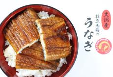 鹿児島県東串良町のふるさと納税返礼品「鰻の蒲焼」とは?