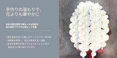慶大とMICOHANA、再使用可能な紙で作った「アートフラワー胡蝶蘭」を商品化
