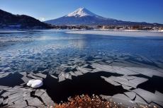 山梨県富士河口湖町ふるさと納税返礼品「富士山の水のおいしさを感じられる飲料」8選