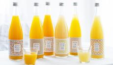 愛媛県西予市のふるさと納税返礼品「柑橘系のジュース」9選