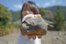 熊本県の化石採集体験が開始3カ月で来場者数3,000人を達成
