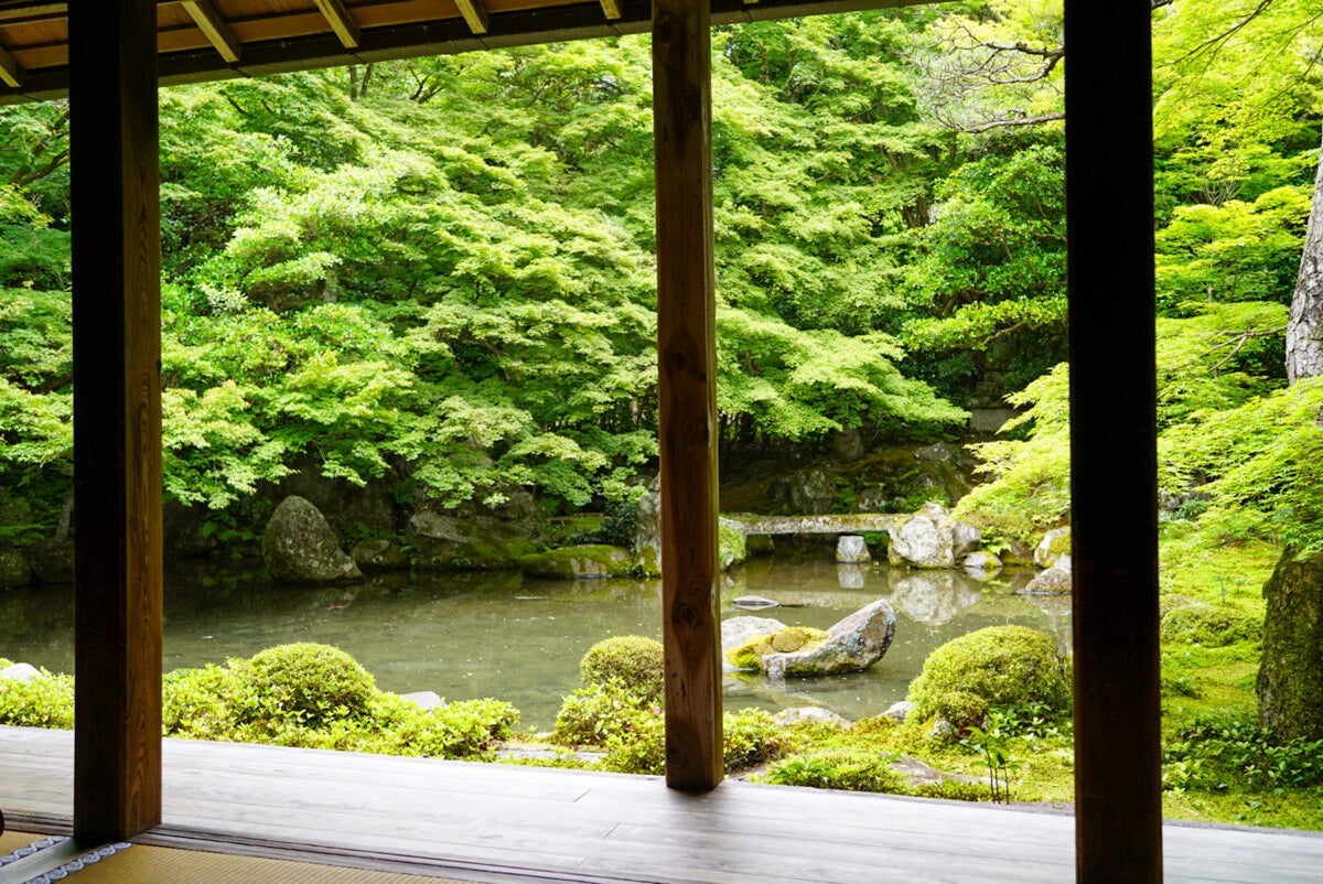 日常に疲れた会社員が「夏の京都」で癒やされてきた
