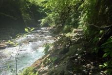 秩父鉄道、8月〜9月に夏山ハイキングを開催 - 西沢渓谷など3コース