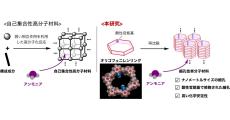 東工大など、アンモニアを簡便かつ高密度に何度でも吸脱着できる材料を開発