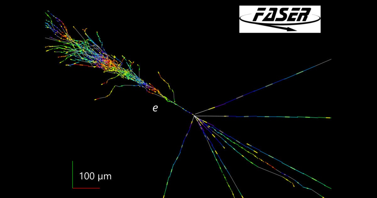 千葉大など、LHCで電子とミューの2種類のニュートリノの反応断面積を初計測