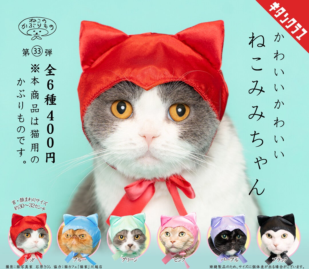 「ねこのかぶりもの」シリーズ最新作!カプセルトイ「かわいい かわいい ねこみみちゃん」