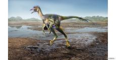 2010年に兵庫県で発見された恐竜化石は新属新種、ひとはくなどが同定