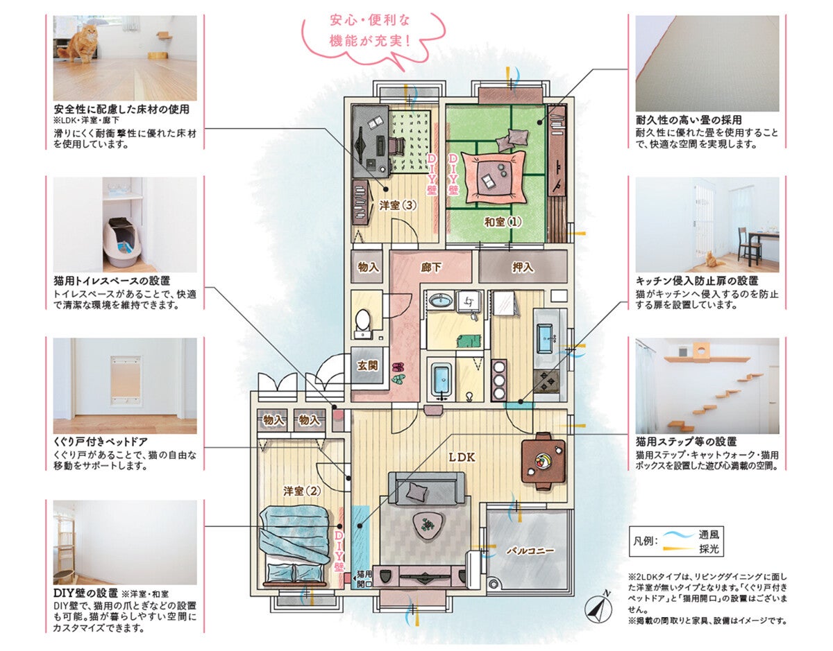 UR初の猫飼育者向け「ねころぶ住宅」誕生! 猫用ステップやキャットウォーク、DIY壁も導入