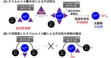 東大、失活後に外部からエネルギーを加えなくても自己修復する触媒を開発