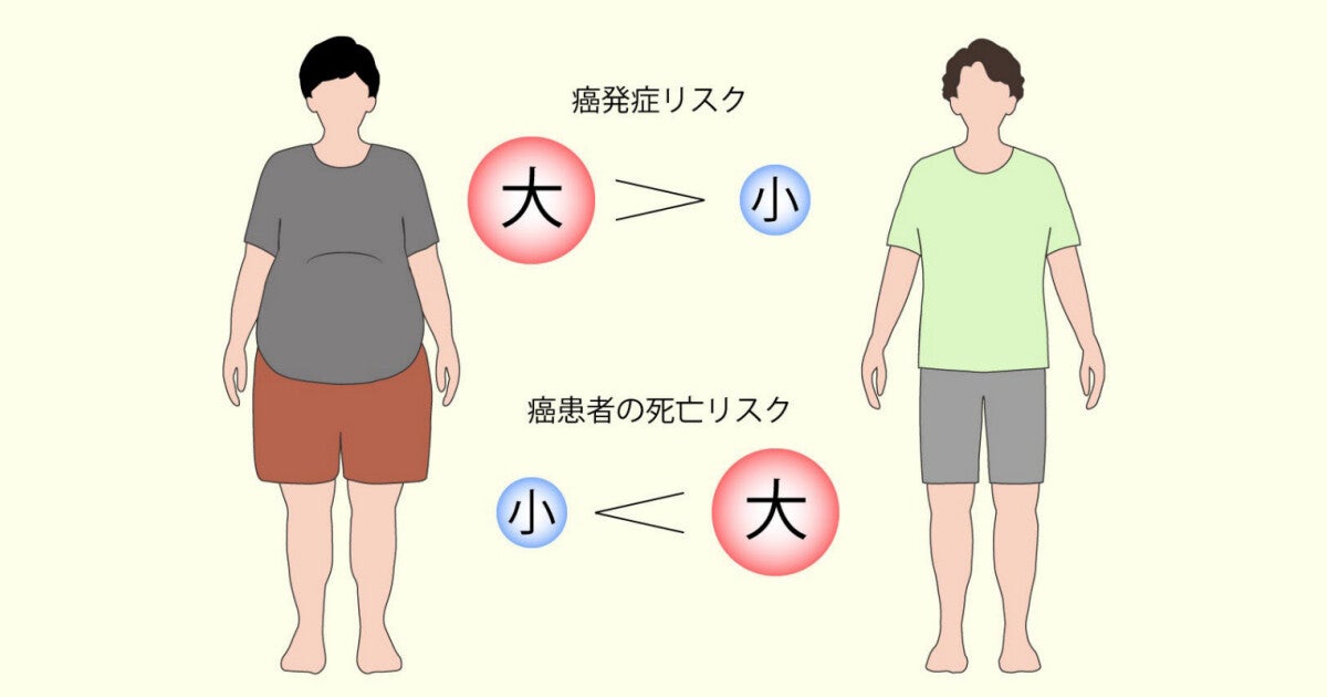 大阪公大、肥満は肺がんでの免疫療法で効果が不十分となる可能性を発見