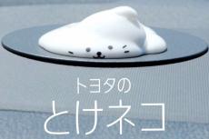 「トヨタのとけネコ」プロジェクトが始動! 車内の熱中症対策は不十分?