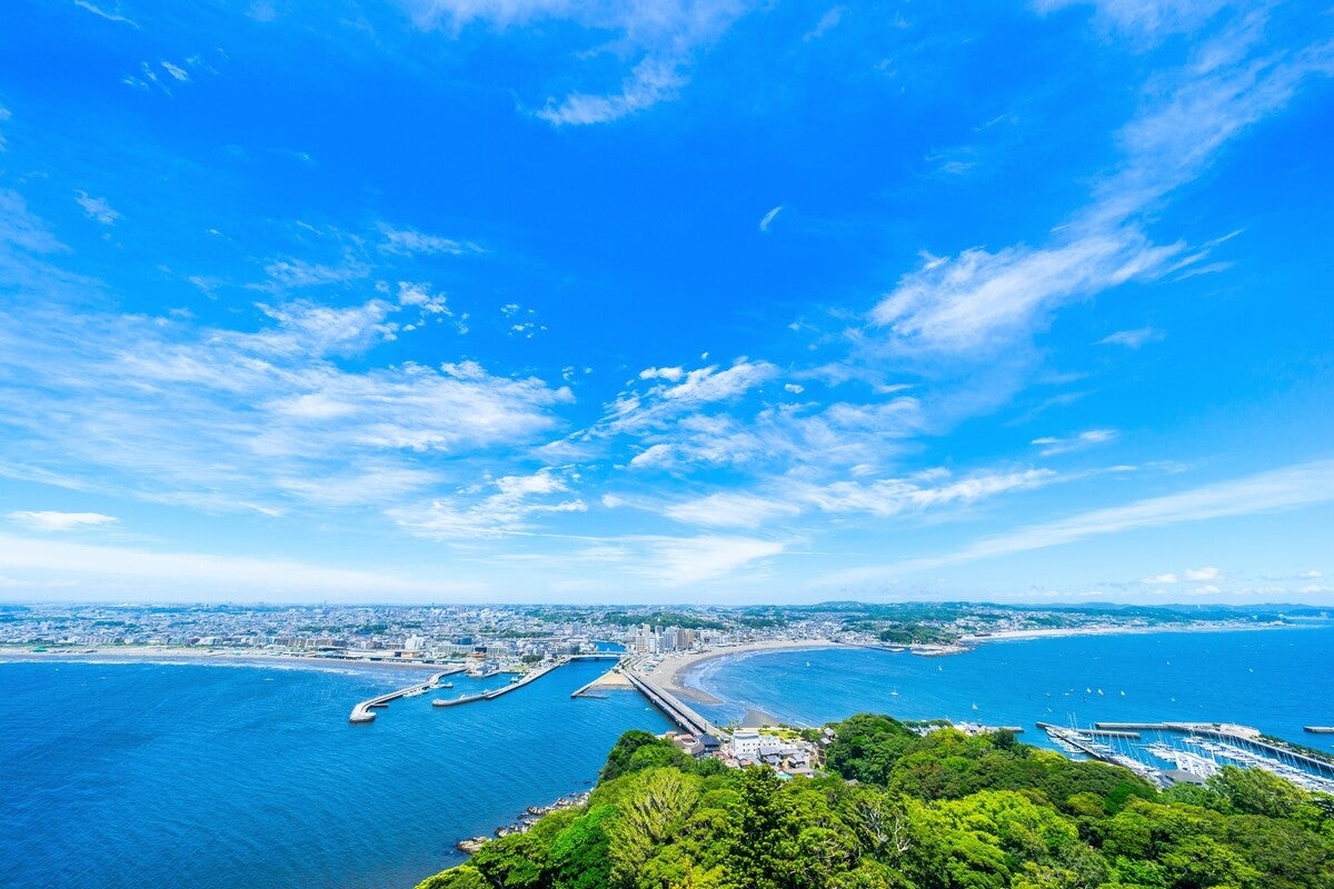 神奈川県藤沢市のふるさと納税返礼品「湘南が生んだブランド米『はるみ』」とは?