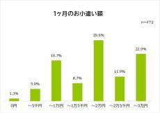 月のお小遣い3万円以下の社会人が"やりくりするための工夫"1位は?