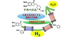 東大、水素を用いた新規合成法で抗アルツハイマー薬の前駆体の合成を実証