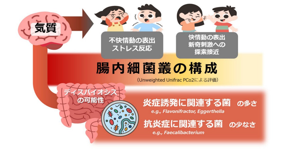 京大、腸内細菌叢が幼児の気質と関連を持つことを発見