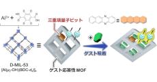 九大など、室温下でも多彩な分子の識別が可能な量子センシング手法を提案