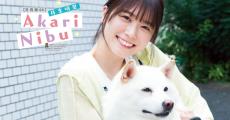 日向坂46 丹生明里、柴犬との散歩でまぶしい笑顔「幸せスマイルが炸裂しました」