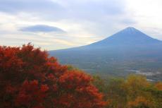 紅葉と富士の眺望! 山梨県鳴沢村の「紅葉台」の魅力、自然を楽しむふるさと納税返礼品とは?