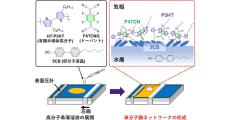 立教大など、有機半導体高分子を用いて脳機能を模倣したネットワークを作成