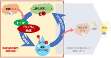 産総研など、水素とCO2から水素キャリアのギ酸を直接合成する技術を開発