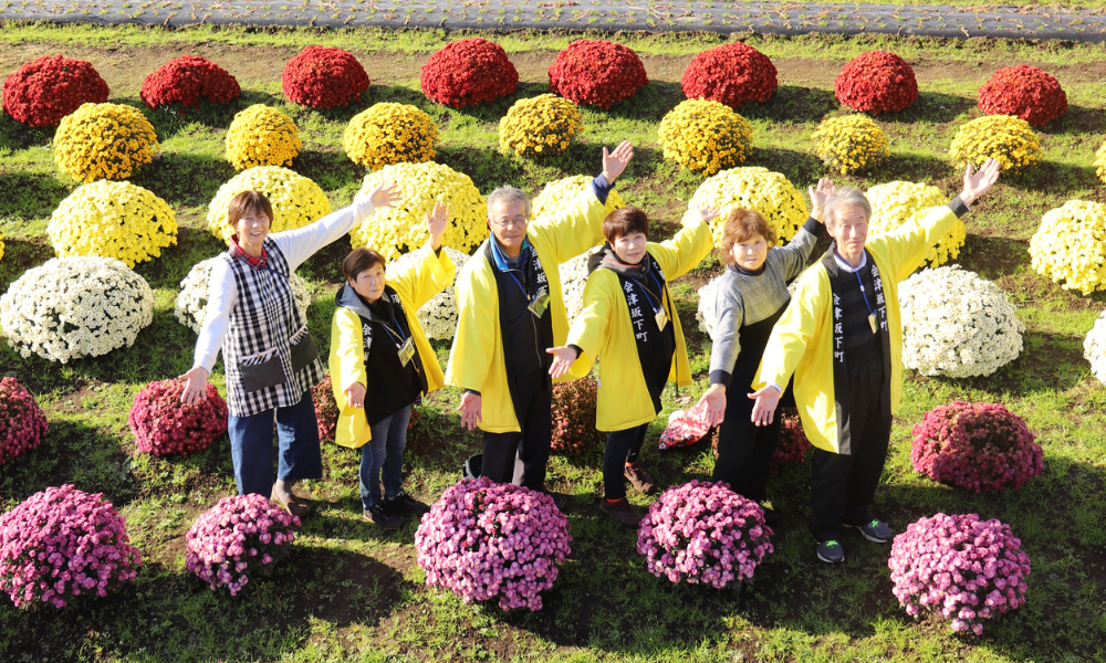 【福島県会津坂下町】趣向をこらしたザル菊アートが見ごろ! 人気のふるさと納税返礼品も