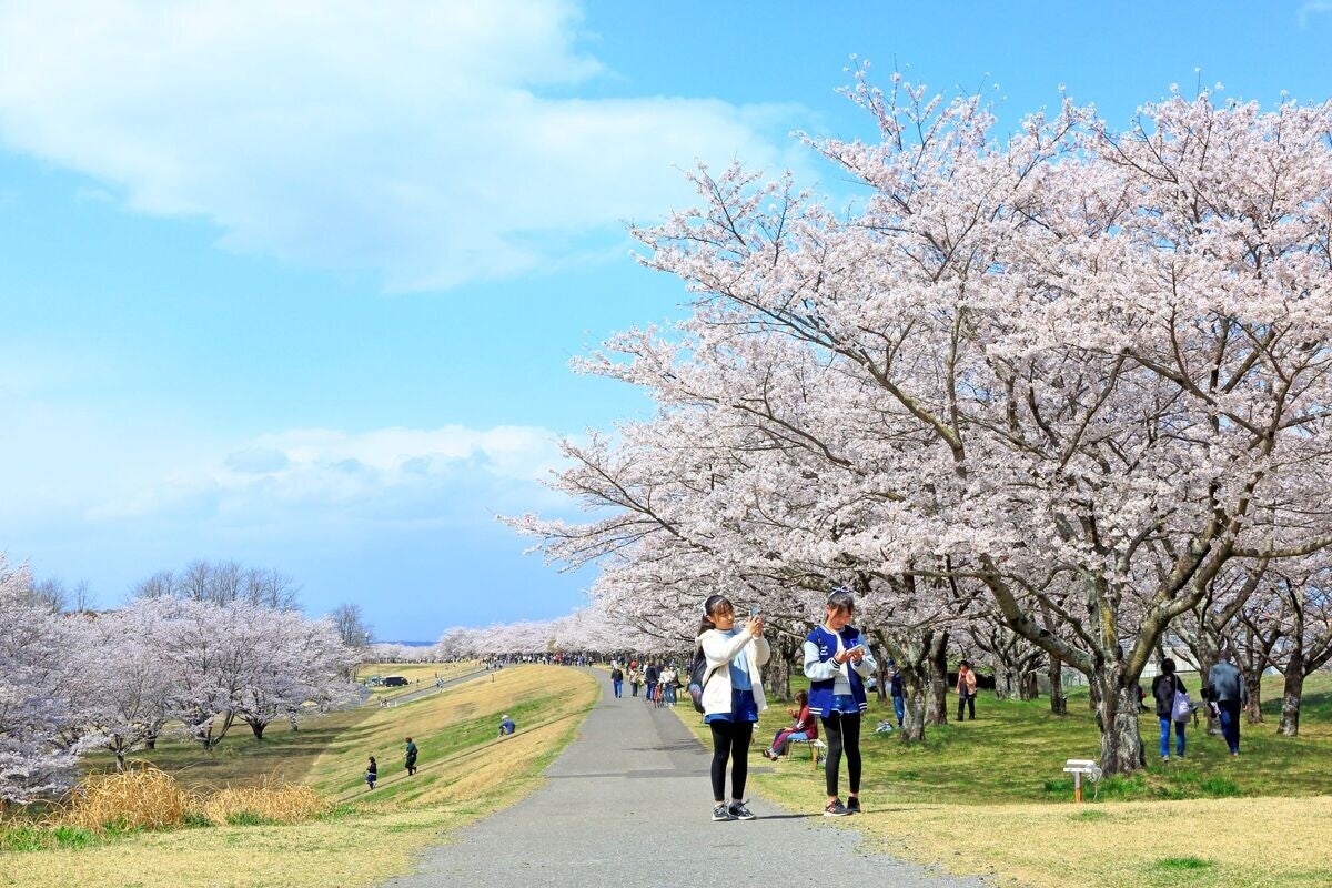 【栃木県さくら市】ほどよい自然と便利で快適な暮らしやすさ、人気のふるさと納税返礼品とは?