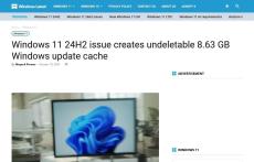 Windows11バージョン24H2、削除できないキャッシュ9GBの問題