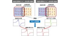 大阪公大、有機半導体積層デバイスの非磁性層側からのスピン流効果の観測に成功