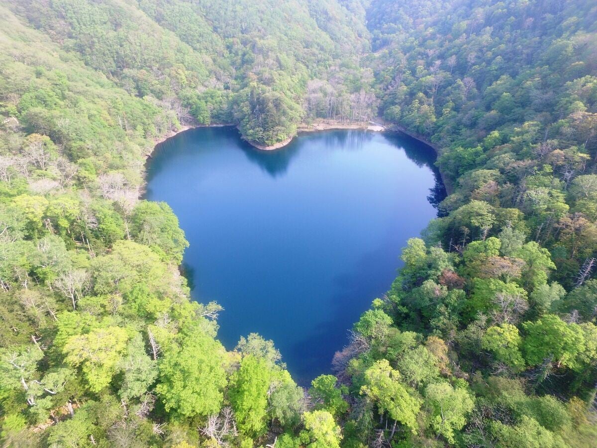 【北海道えりも町】ハートの形をした「豊似湖」の魅力、人気のふるさと納税返礼品とは?