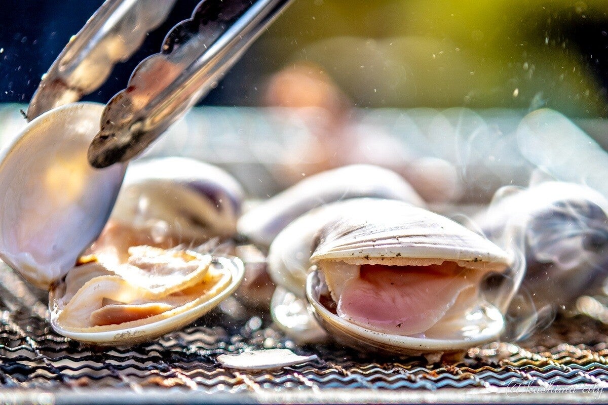 新鮮な海産物を堪能できる茨城県鹿嶋市のお祭り、自宅で味わえるふるさと納税返礼品とは?